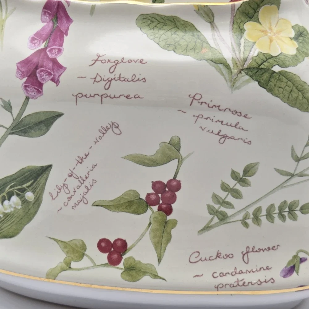 Vintage Royal Cuthbertson Floral Porcelain Botanical Teapot Made In England‎